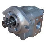 Hydraulic Pump TCM 177H7-10101